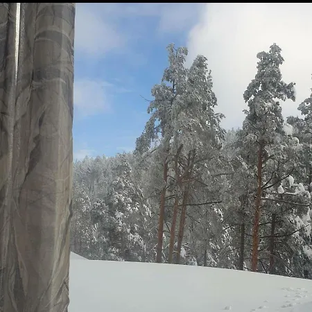 Divchy Dream * Divčibare