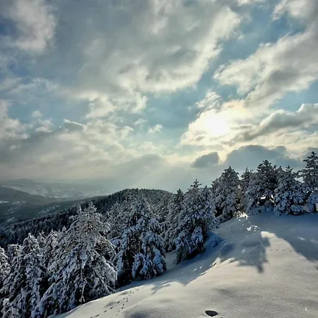 Divchy Dream * Divčibare