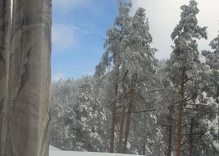 Divchy Dream * Divčibare