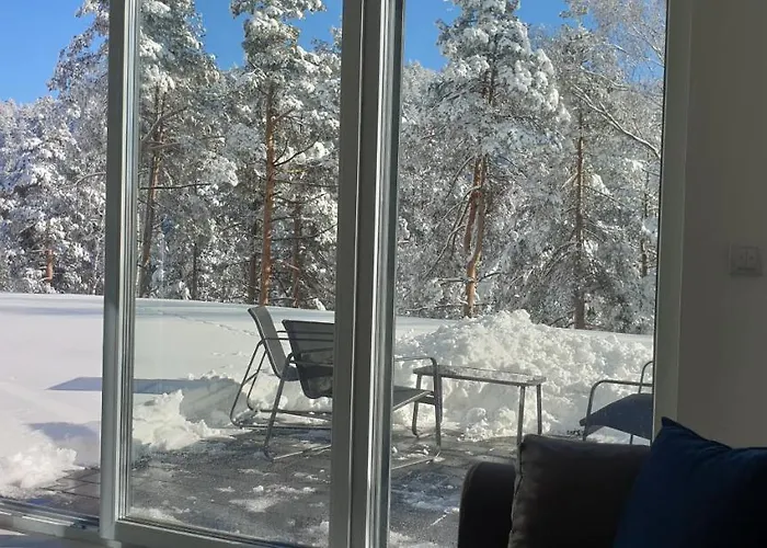 Апартаменты Divchy Dream Дивчибаре