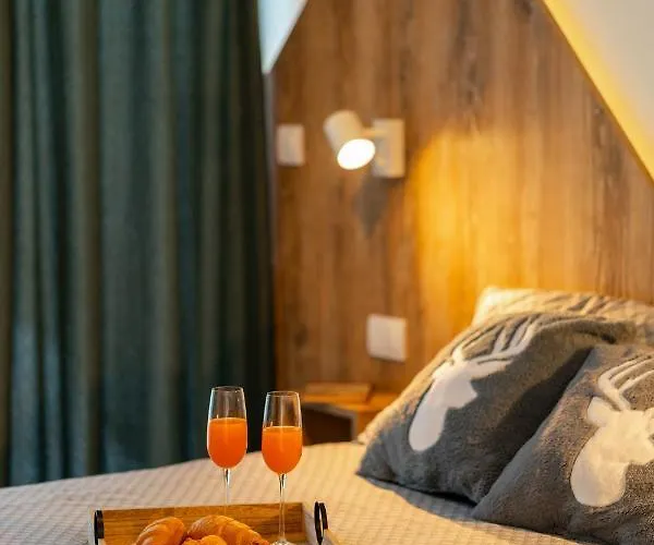 Divchy Dream Дивчибаре