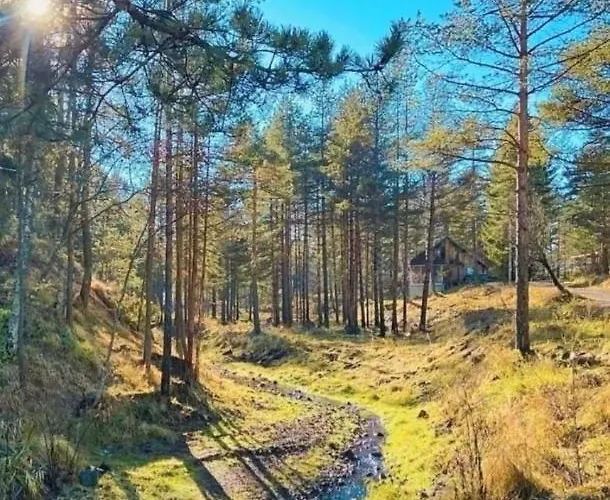 Divchy Dream * Divčibare