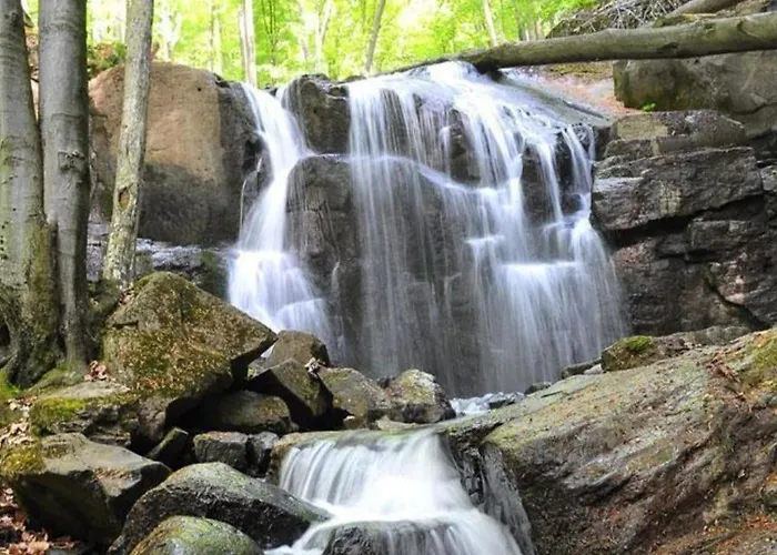 Divchy Dream Апартаменты Дивчибаре