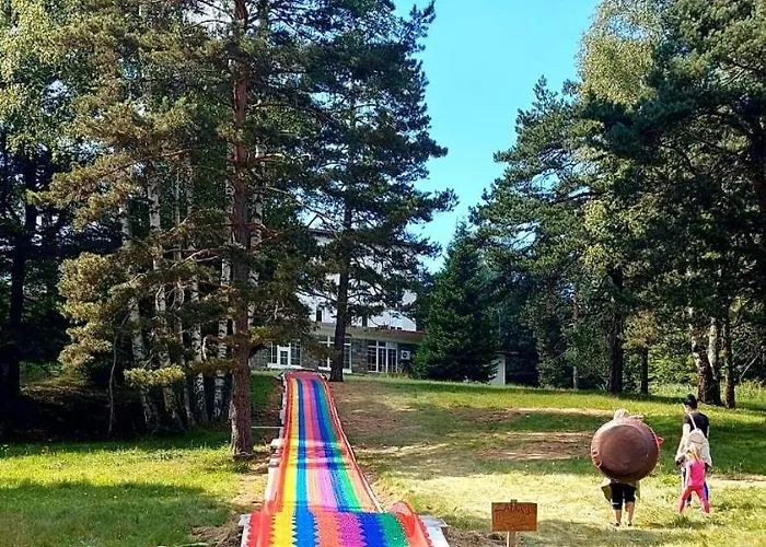 Divchy Dream Дивчибаре