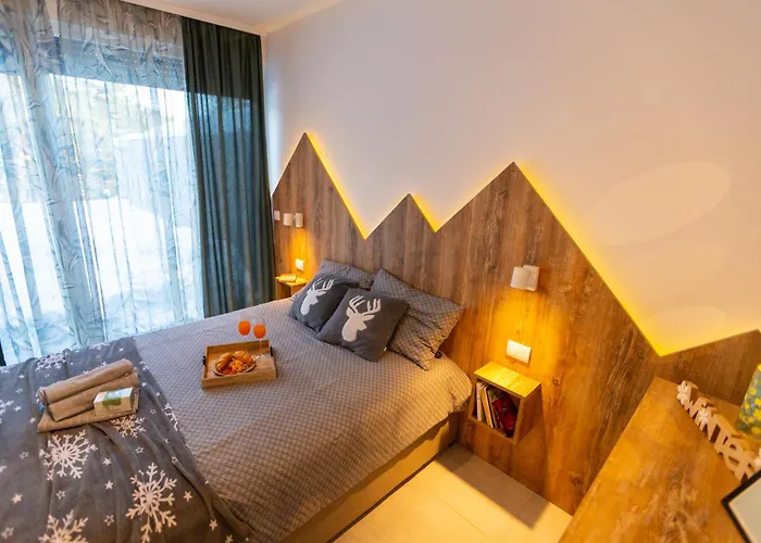 Divchy Dream Дивчибаре