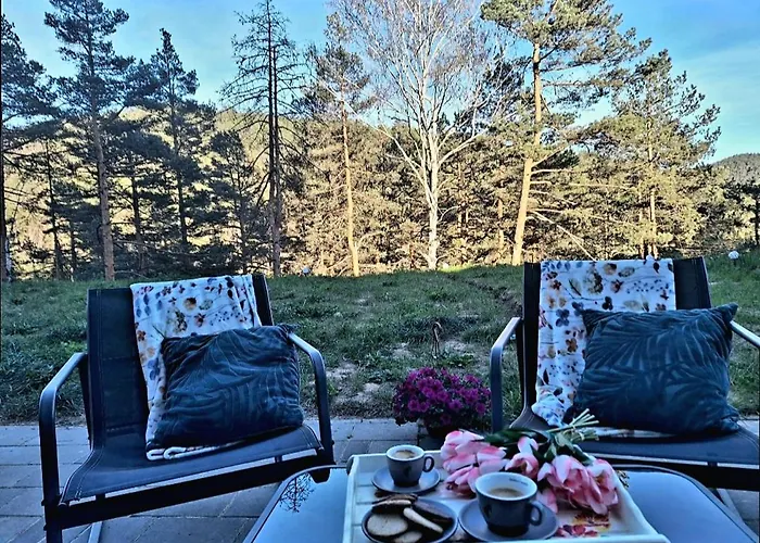 Апартаменты Divchy Dream *